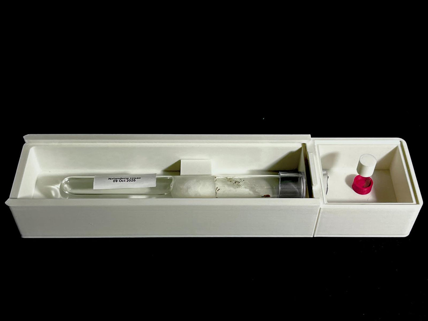 Single Test Tube and Outworld Combined Ant Nest
