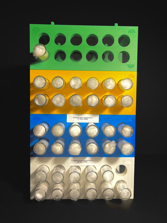 16mm Test tube Rack Stackable