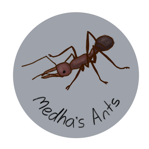 Circular sticker with an ant illustration and 'medha's Ants' text on a light gray background
