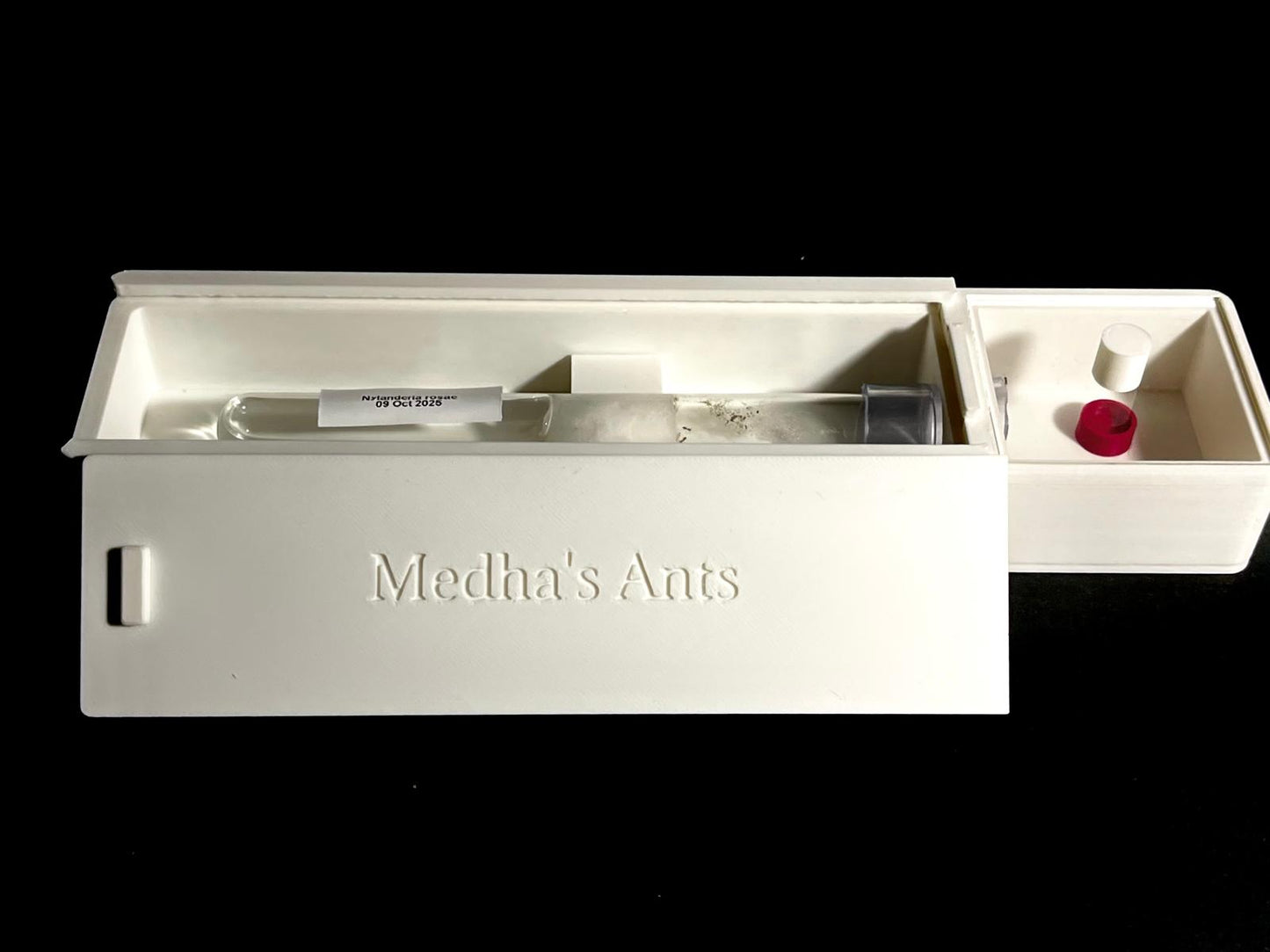 Single Test Tube and Outworld Combined Ant Nest