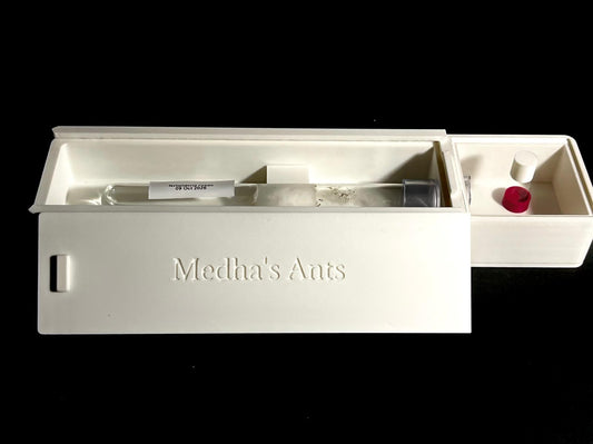 Single Test Tube and Outworld Combined Ant Nest